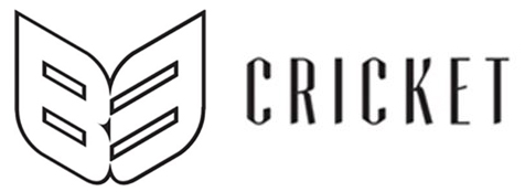 B3 Cricket Logo